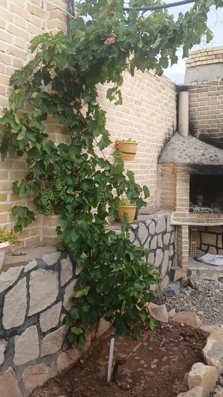 باغ ویلا روستای قز .دارای ۲ ساعت آب.آبدهی قطره ای