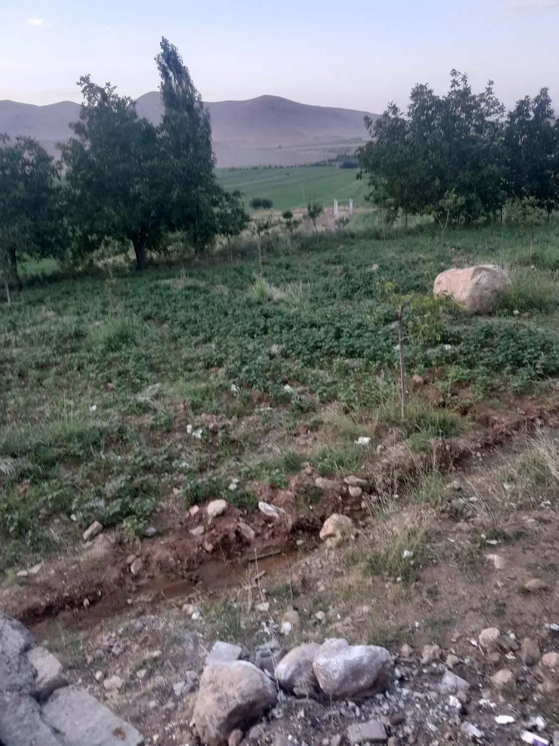اجاره زمین