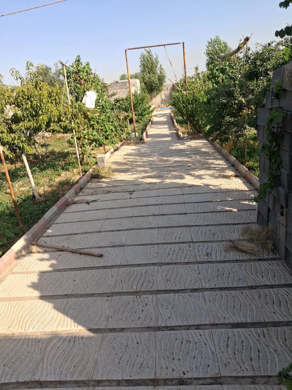 باغ