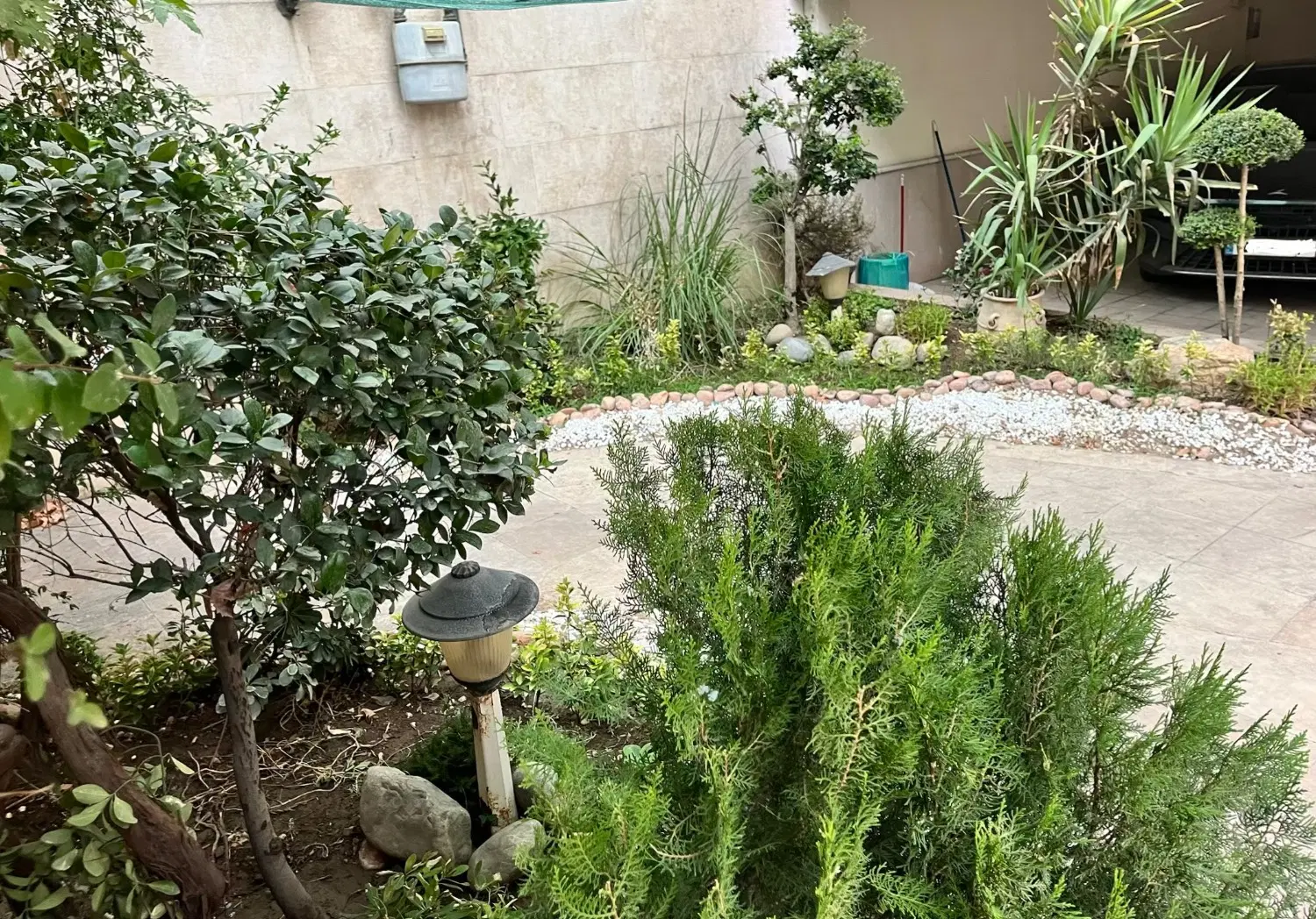 شمال خواجه عبداله انصاری 115 مترتکواحدی