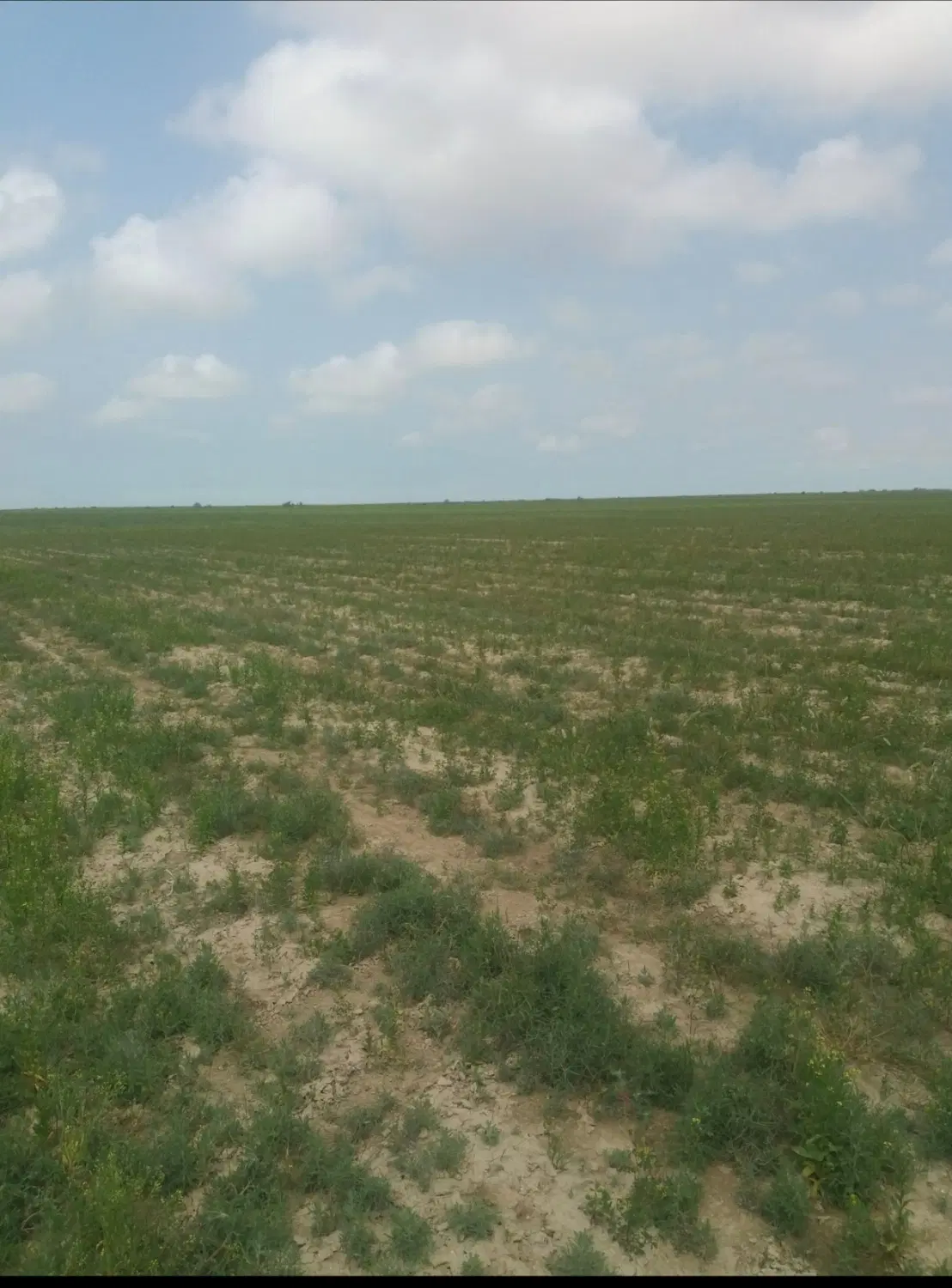 فروش زمین صنعتی