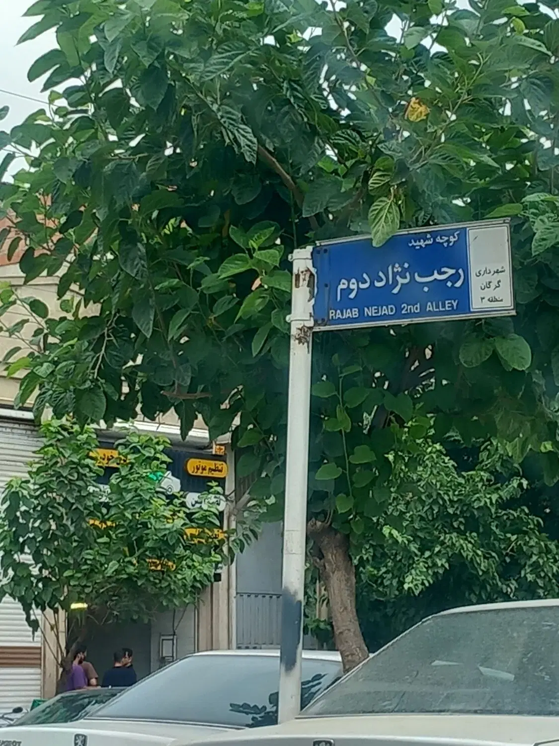 زمین سجادیه کوچه دوم