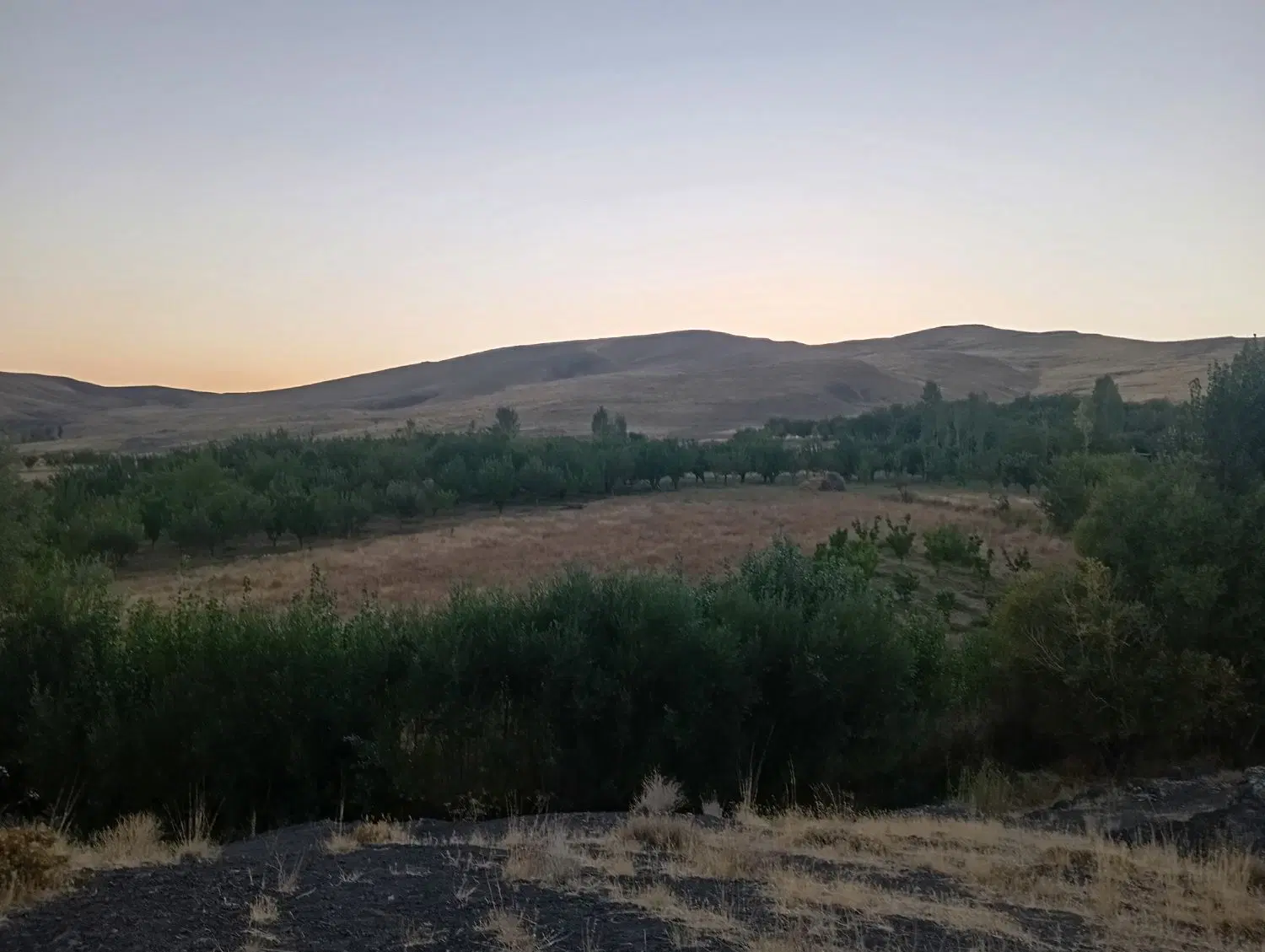 تهم روستای طاهر آباد