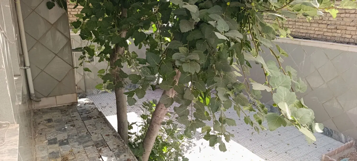 خانه جهاد