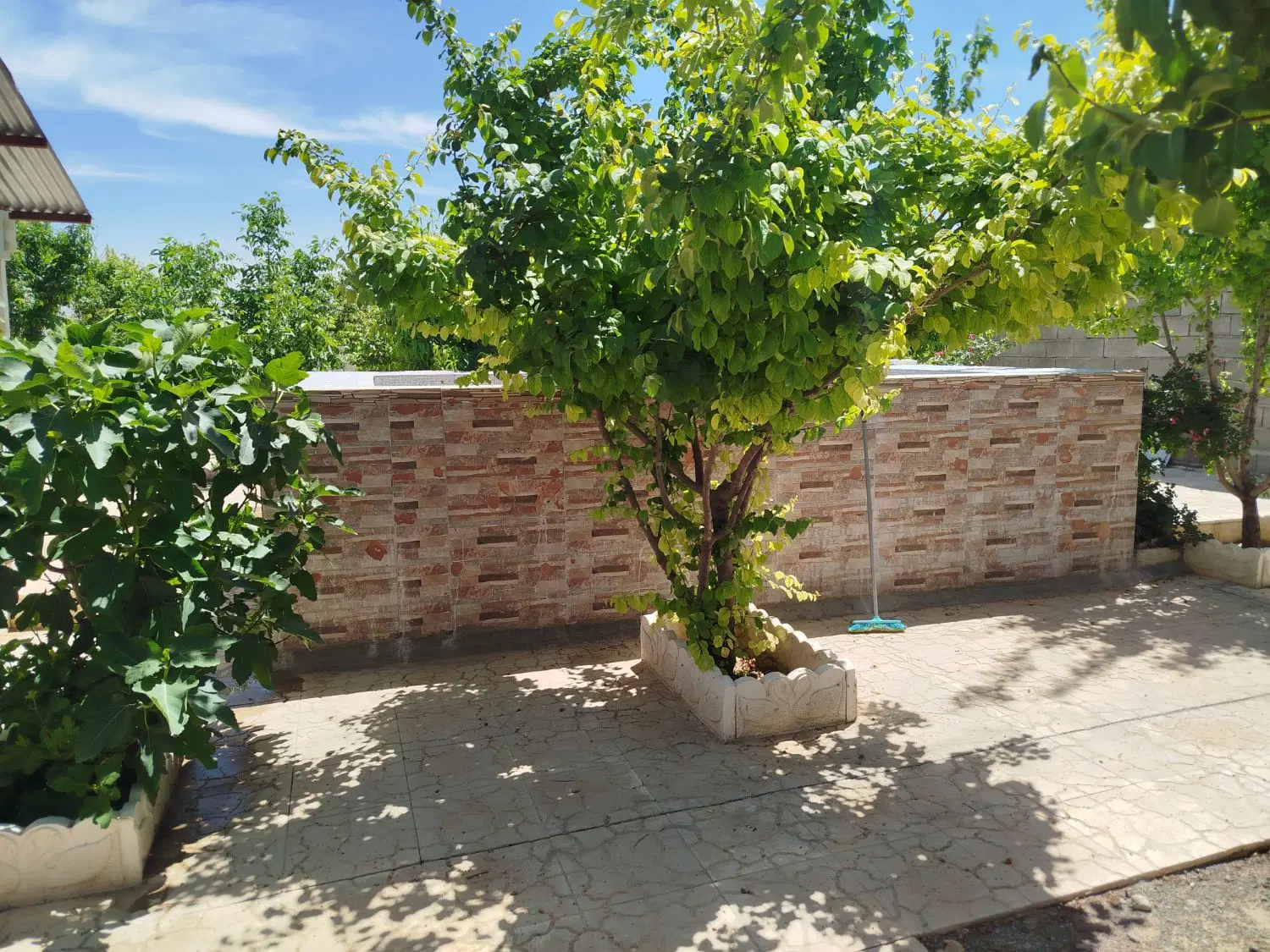 خانه باغ سیابید
