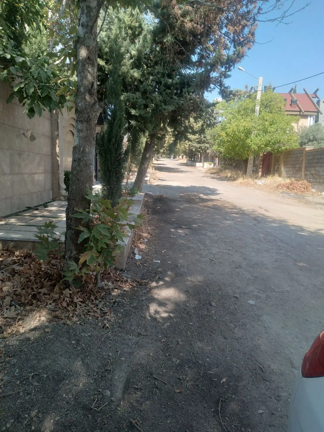 فروش زمین ۱۰۰۰متری باغی