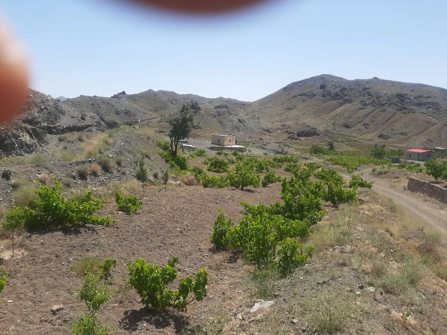 فروش باغ در قز