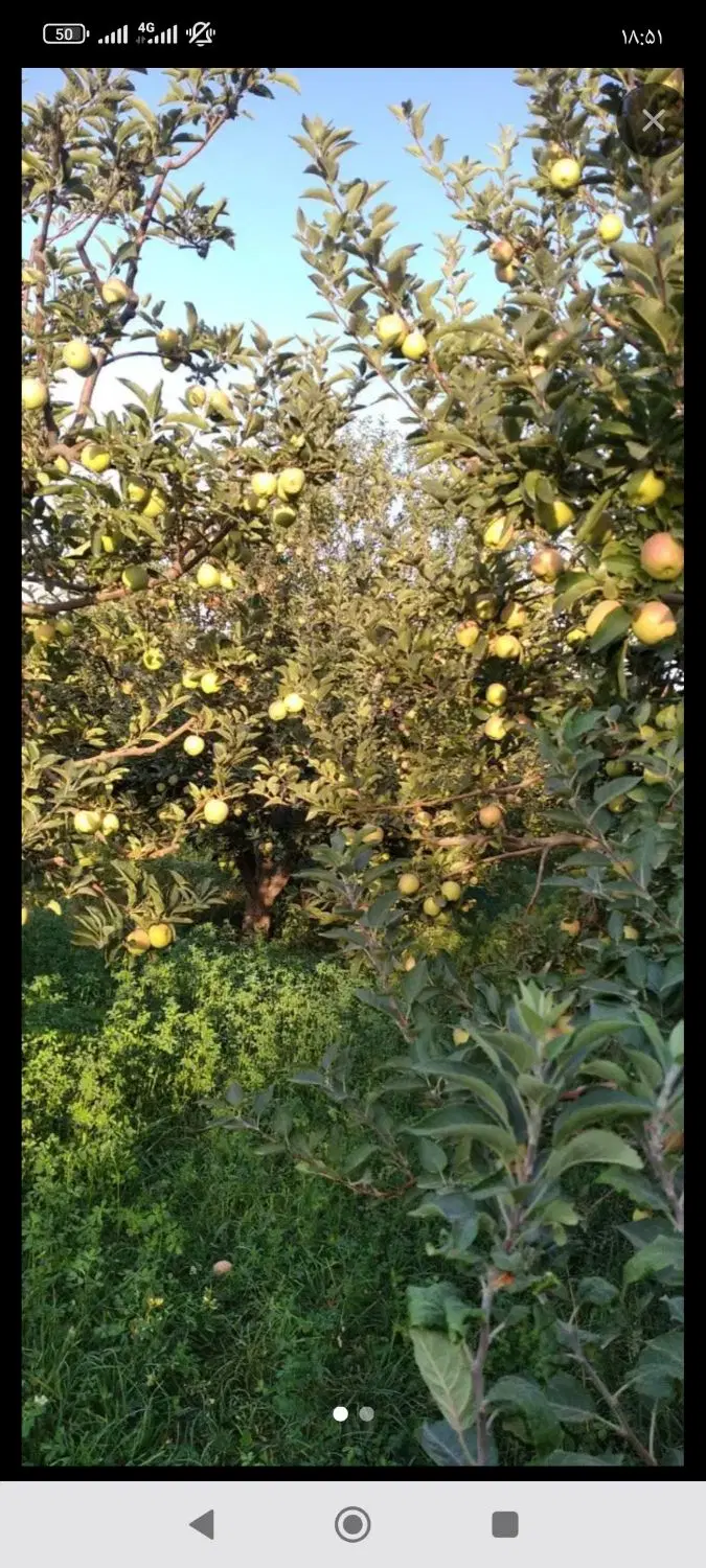 باغچه۱۴۰۰متری