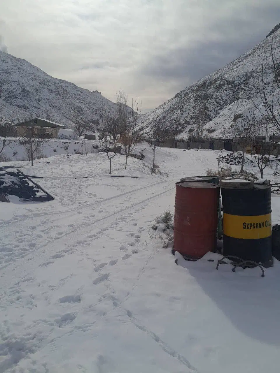 زمین باغی
