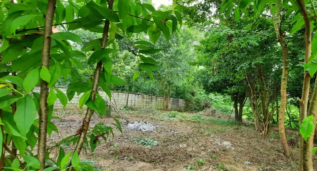 فروش زمین مسکونی