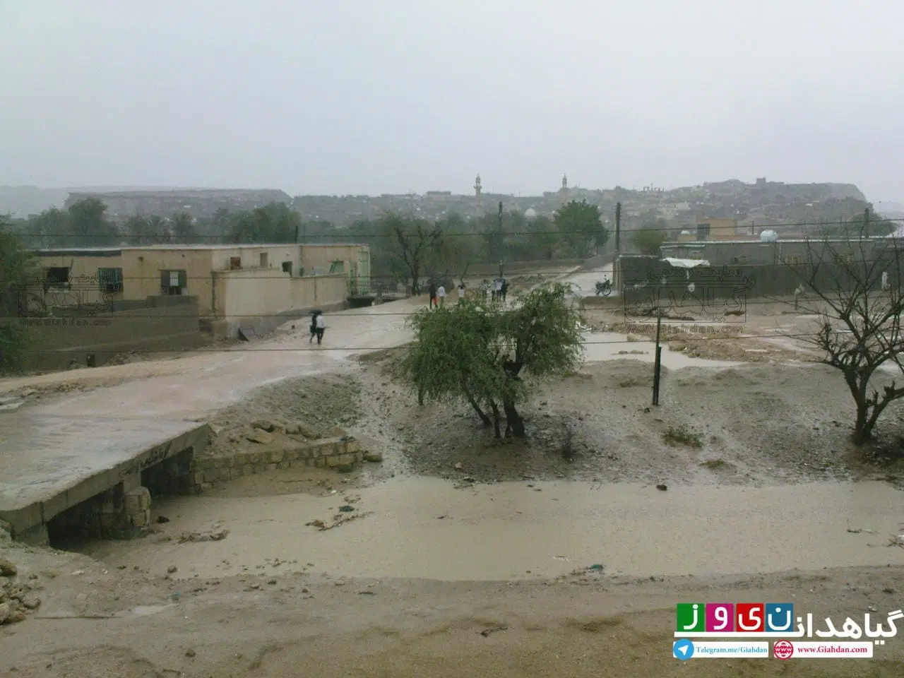 زمین بغل کوه قلعه گیاهدان نزدیک شهر