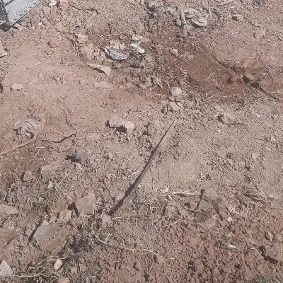 زمین مسکونی آبباریکی