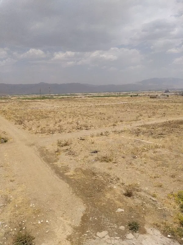 زمین