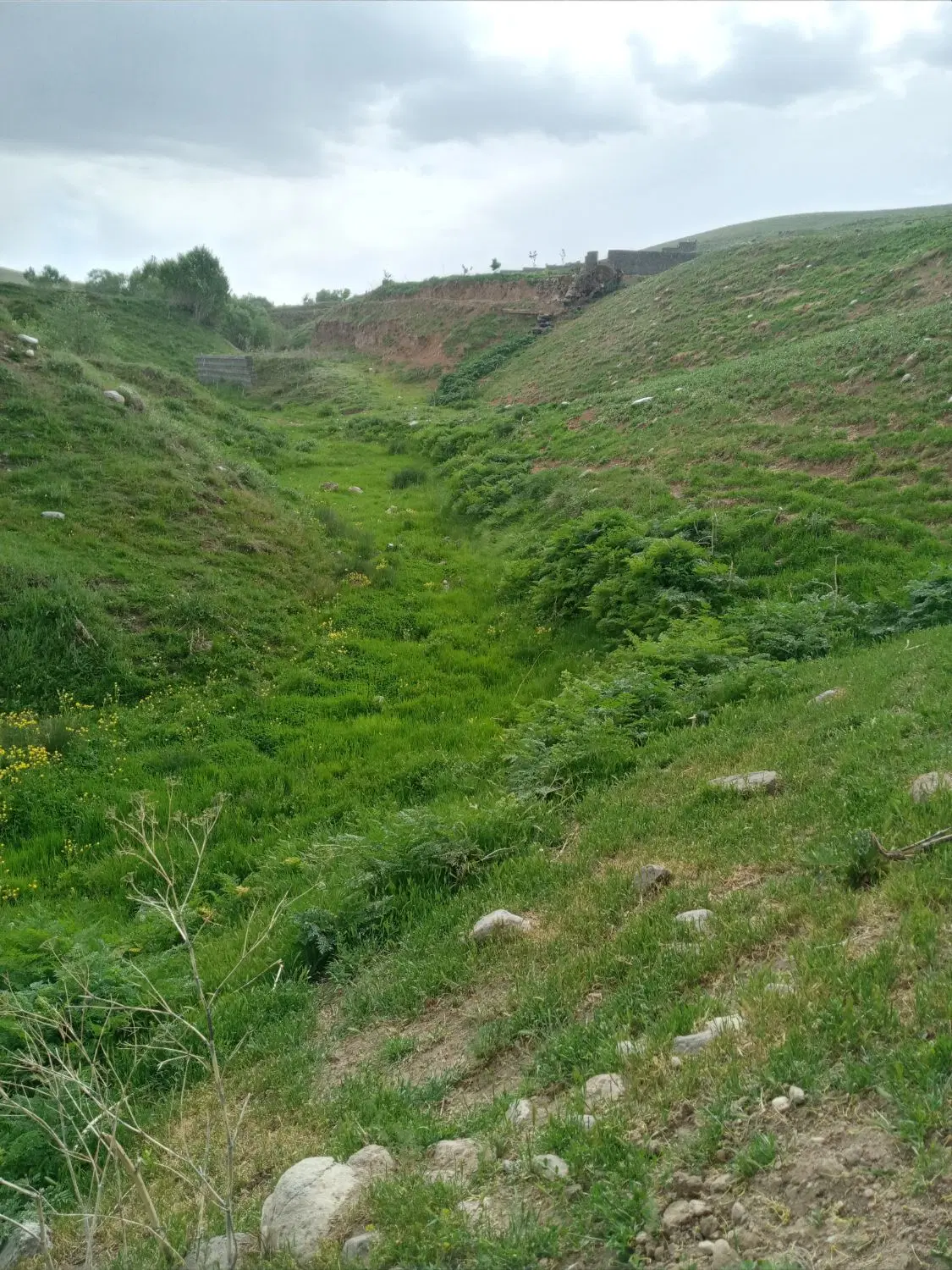 زمین ویلای