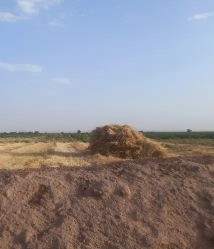 معاوضه خانه روستایی با یزد