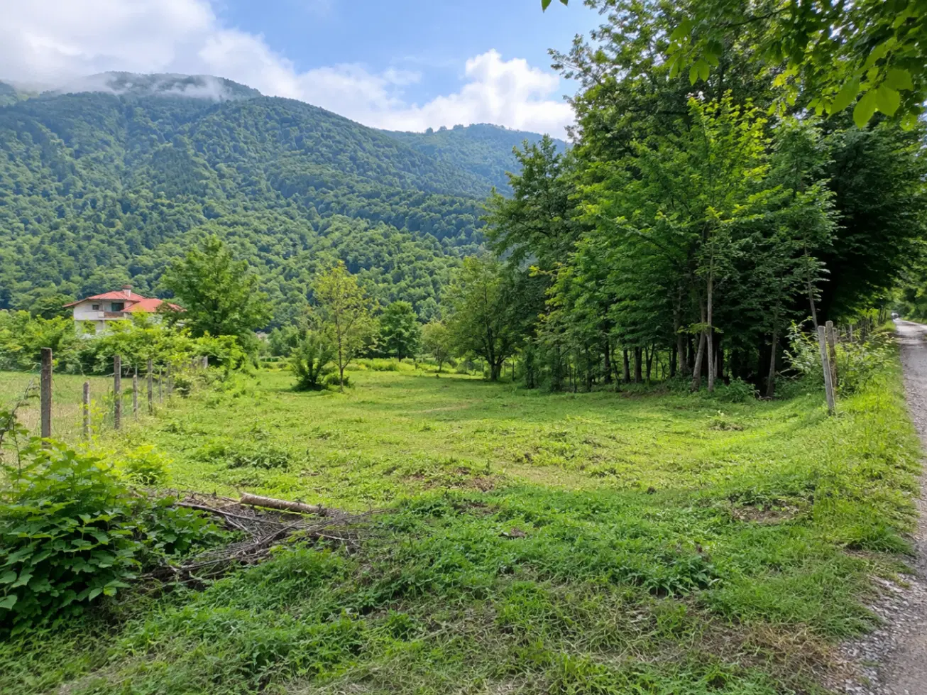 زمین نور
