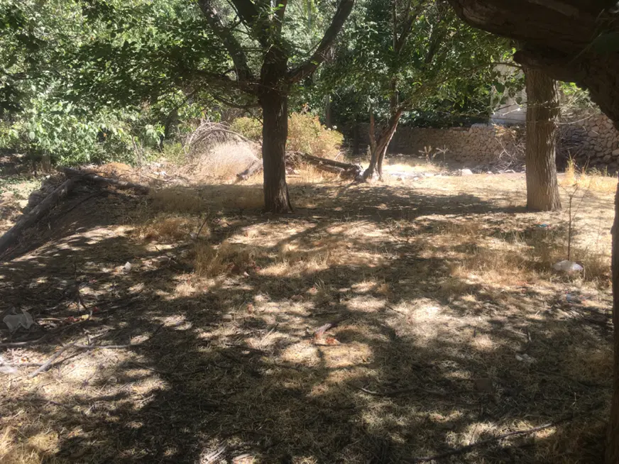زمین خانه باغچه تزرجان سند تک برگ با آب قنات