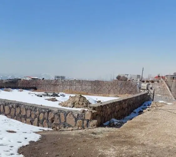 زمین سند تک برگ در زیبادشت