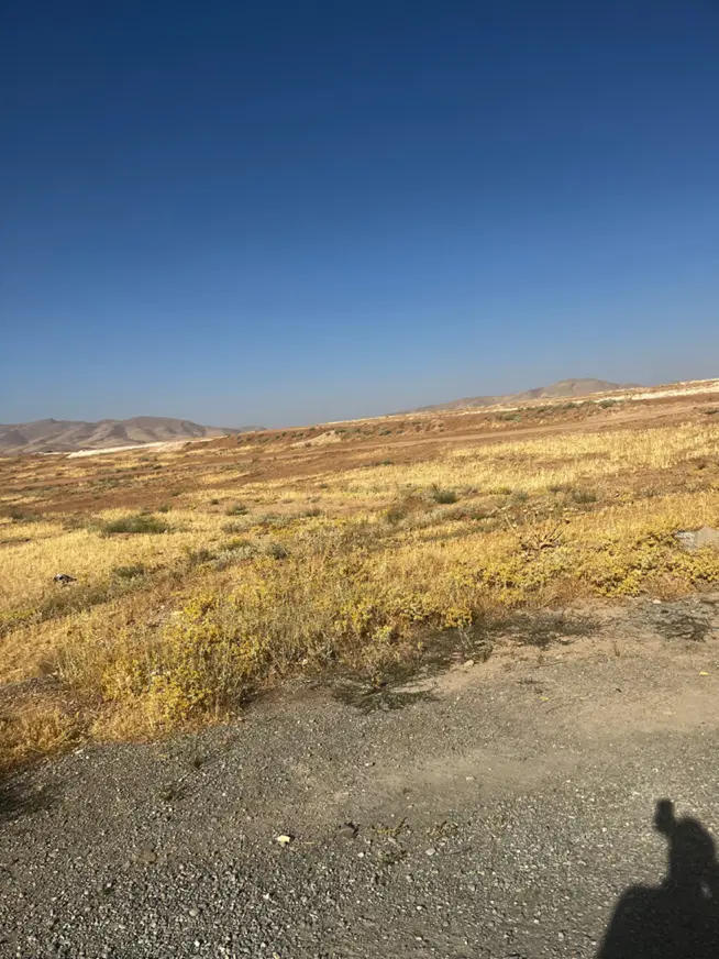 زمین ۳۲۳ متری قار