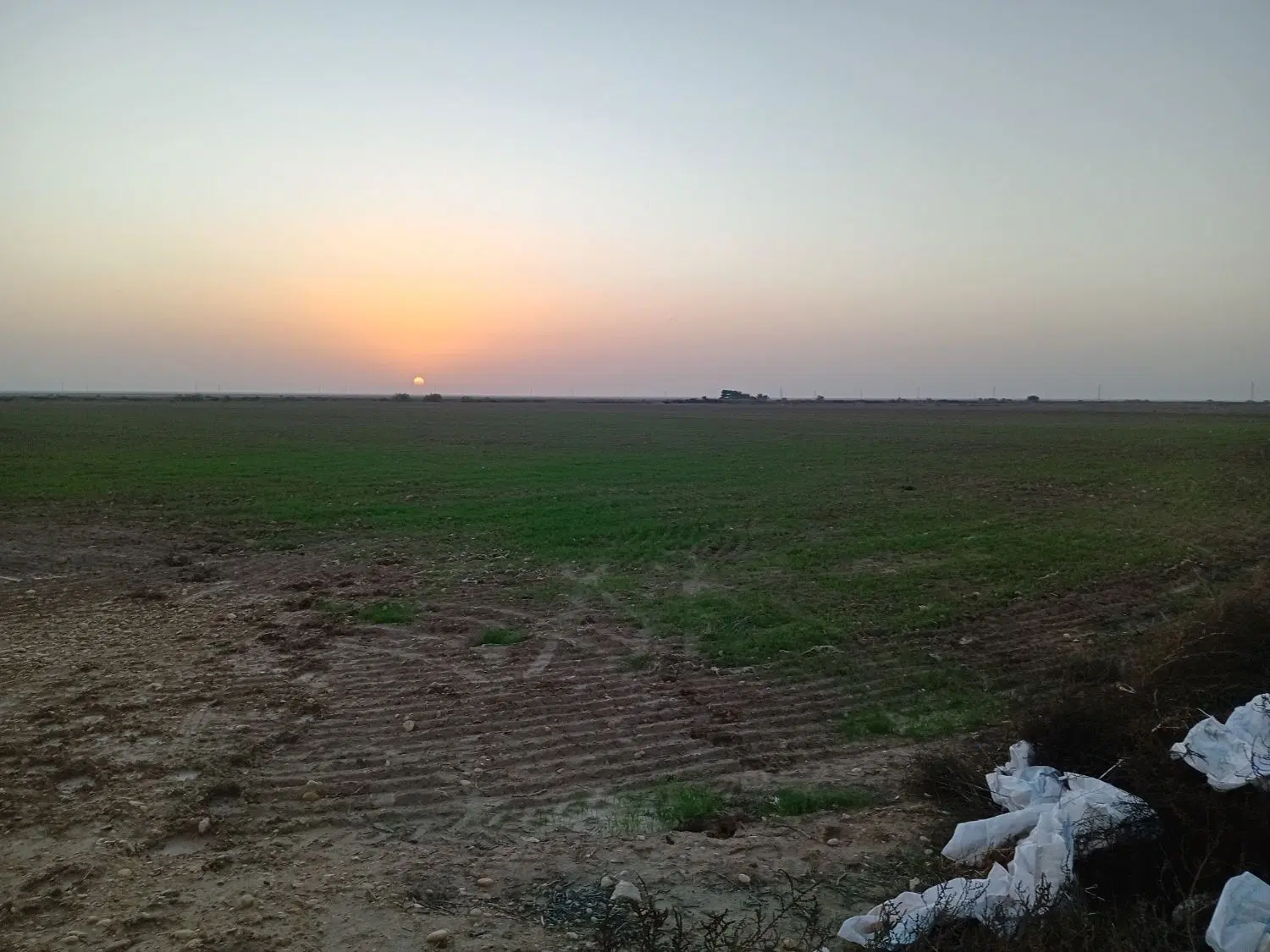۲۰هکتار زمین کشاورزی ۱۳پریارسال لاله بود
