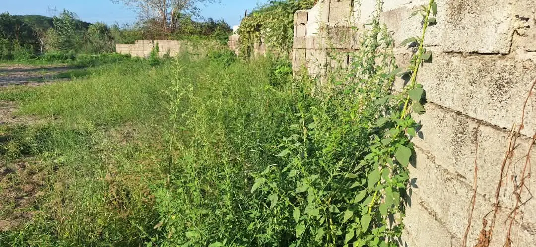زمین 150متری با جواز