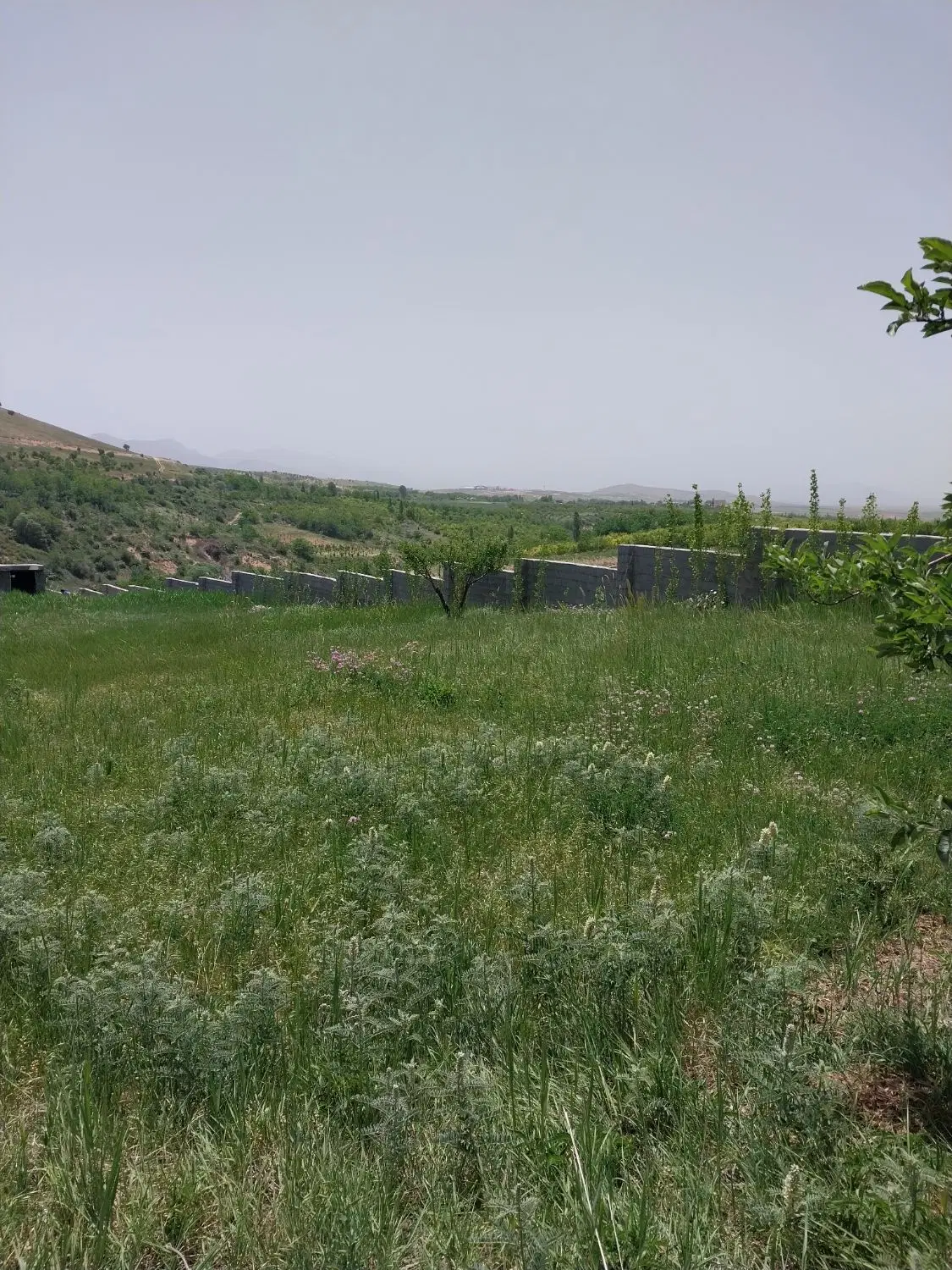 معاوضه با ملک