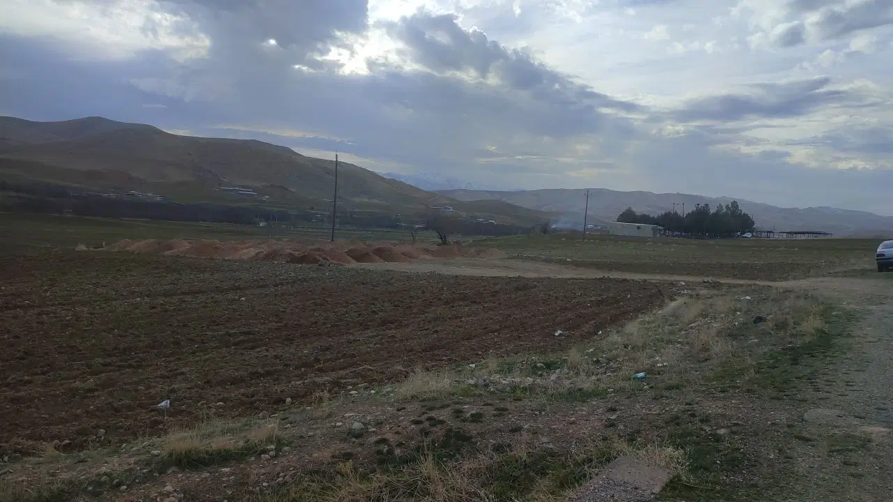 زمین با مجوز ساخت دامپروری