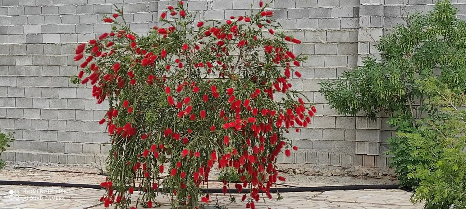 گاراژ