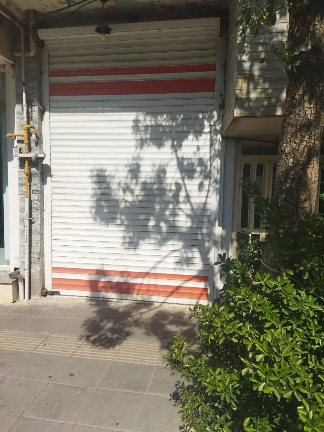 اجاره مغازه 55 متری تجاری خیابان لعلی