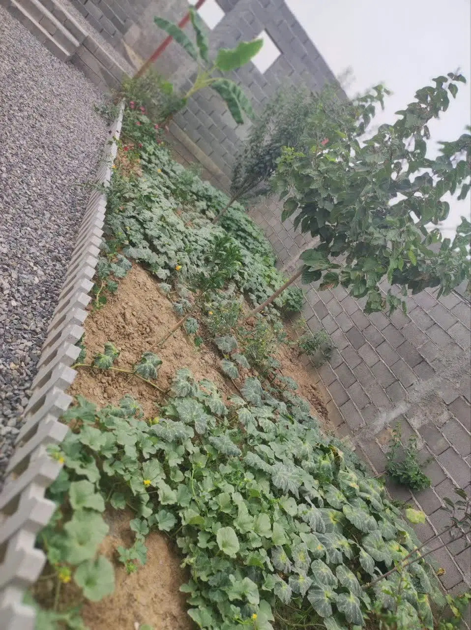 زمین روستایی آهنگر محله