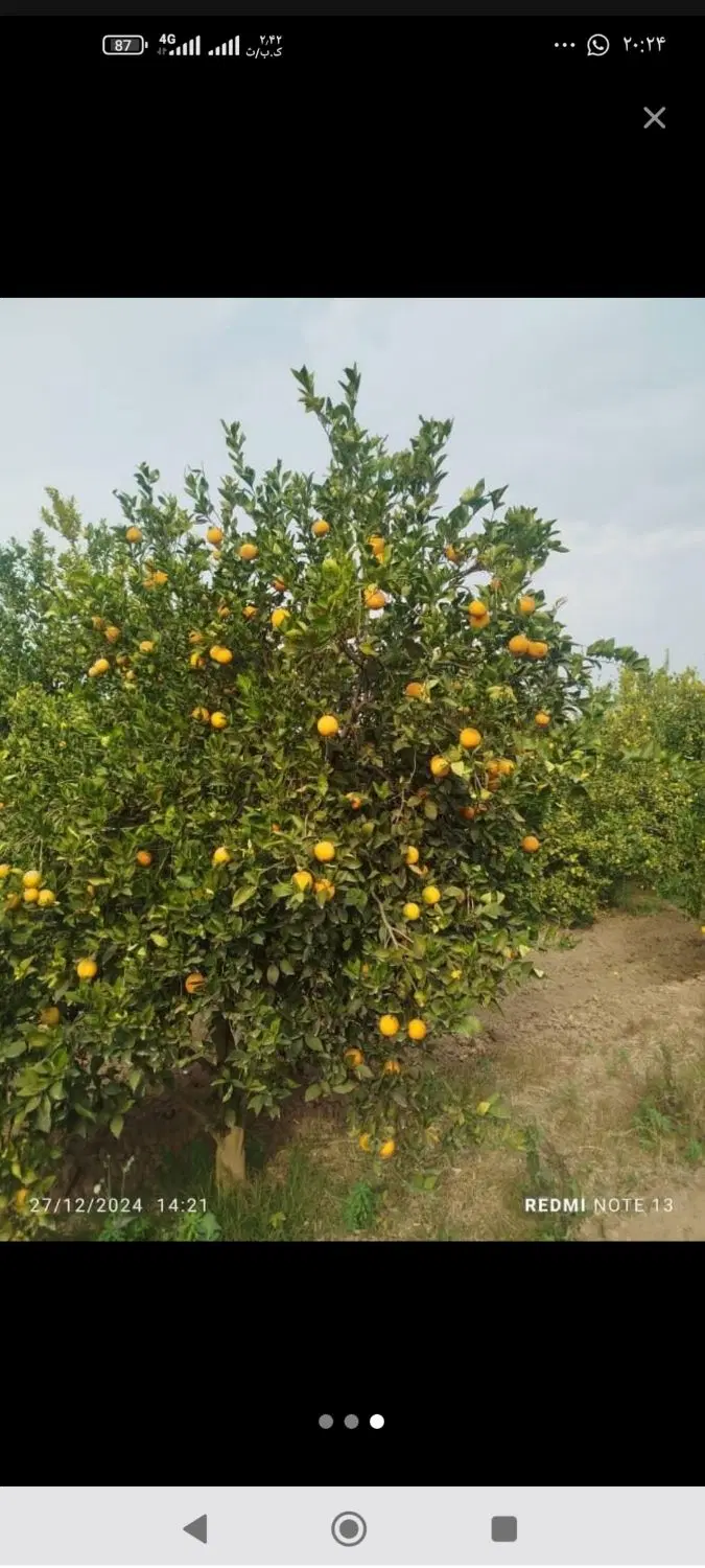 فروش باغچه باکنتوربرق رسمی 550متری