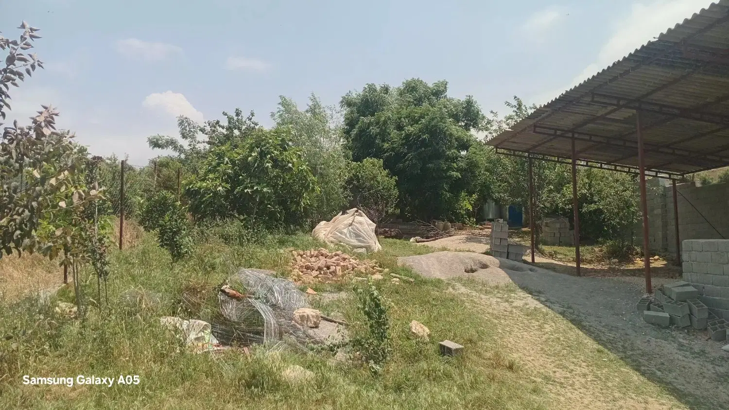 زمین  باغی و دامداری