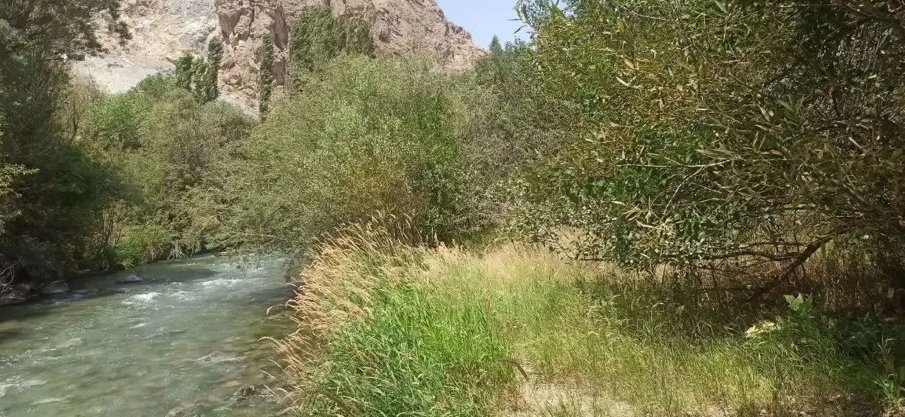 زمین  کنار رودخانه وجاده اصلی کرج ، چالوس