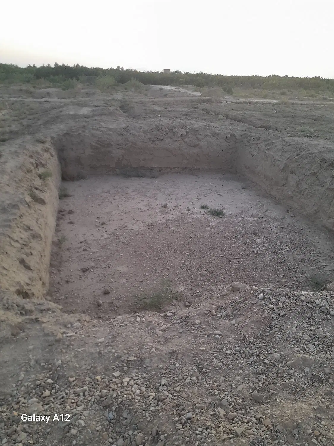 ۱ هکتار باغ پسته مهماندوست