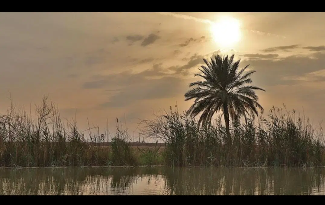 جزیره مینو زمین‌ برای باغ ویلا وخانه