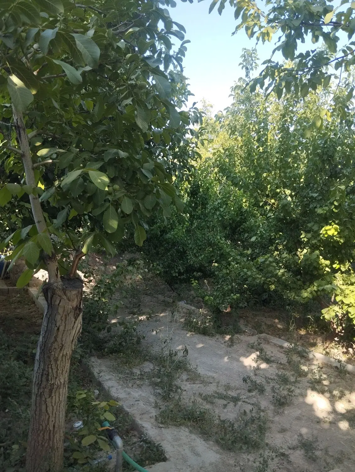 باغ ویلایی ۵۳۰ متر در اسفهلان داخل طرح هادی