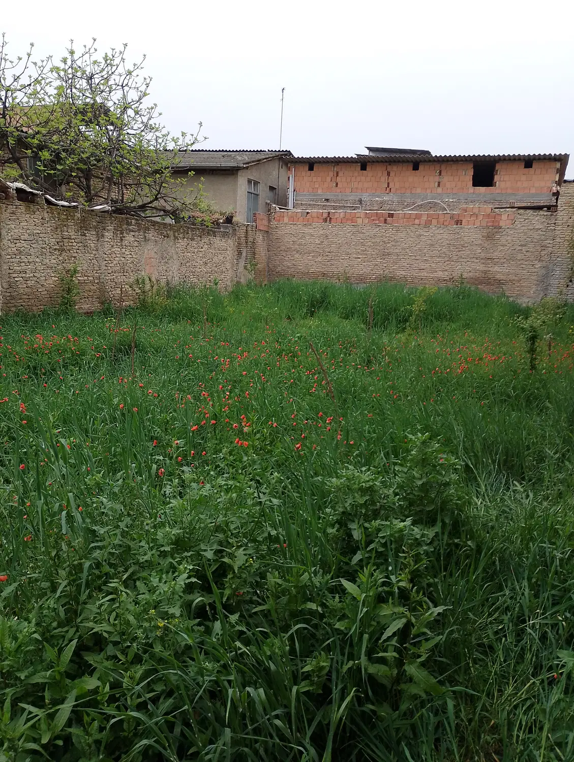 فروش زمین با کاربری مسکونی