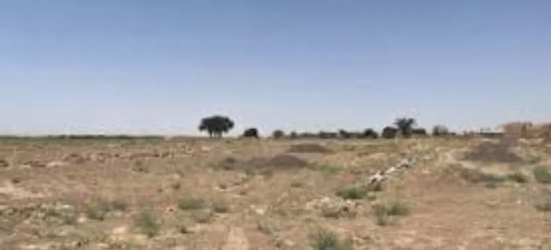 زمین ۸۵۰ متری در صدرا