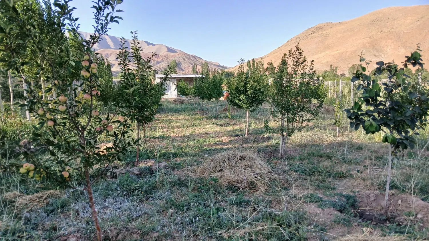 باغ در نهند اسپیران