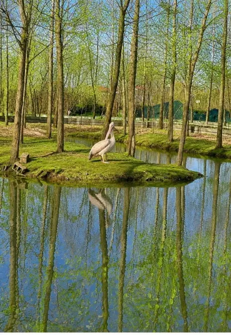تفرجگاه زیبا برای سرمایه گذاری مفید