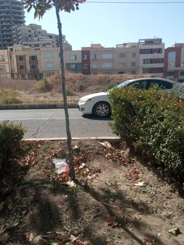 زمین تجاری مسکونی لوتوس