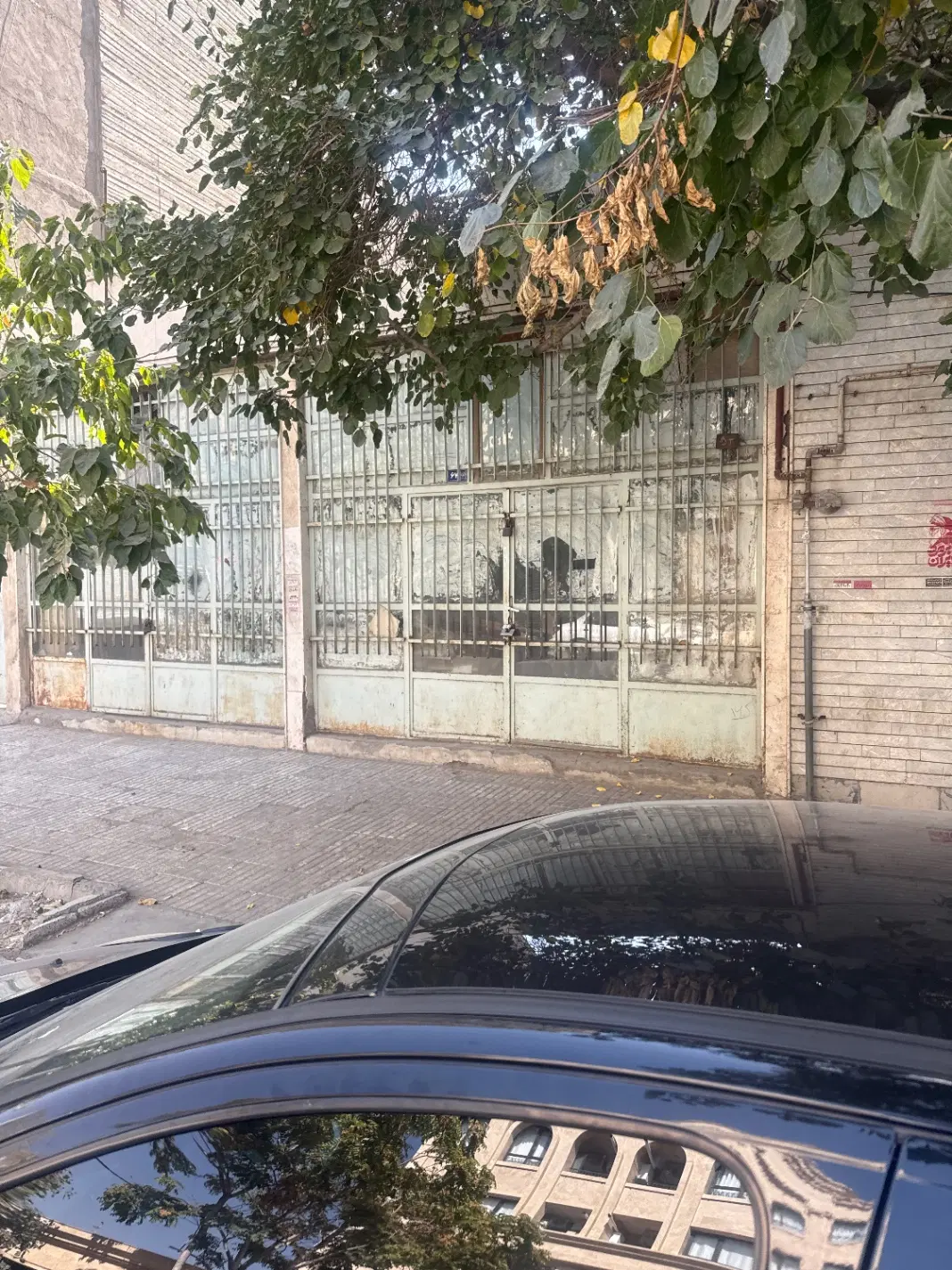 مغازه داخل بازار رضا