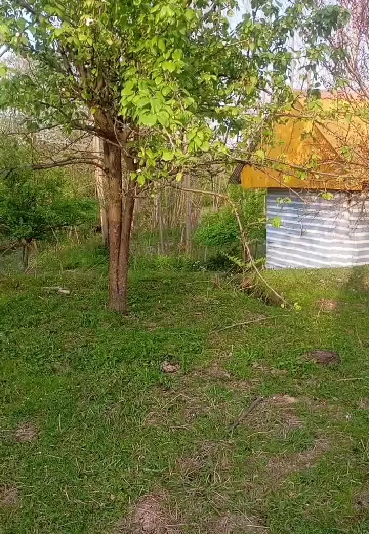 خونه‌باغ ۳۷۷۰ متری در پایین‌شاده مجاور رودخانه