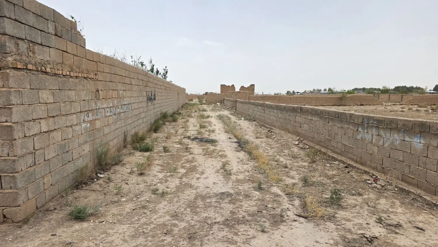 باغ زمین ۵۰۰۰ متری