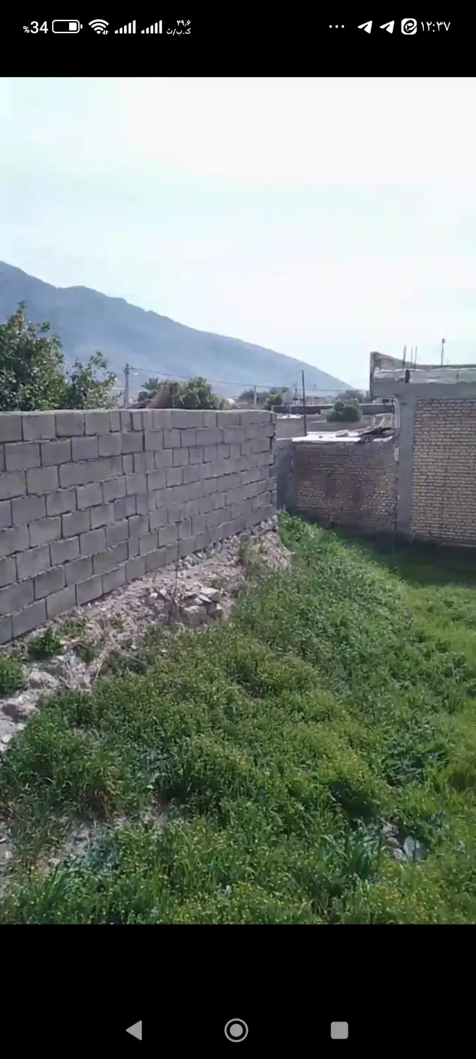 زمین