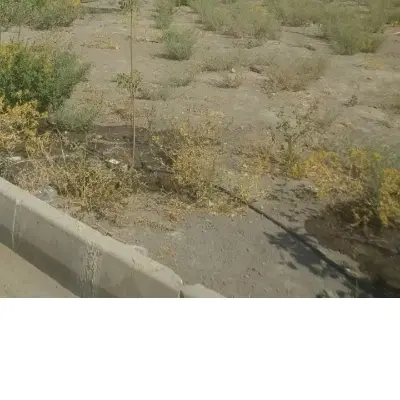 زمین ۲۰۰ متری گویم شورا ۲