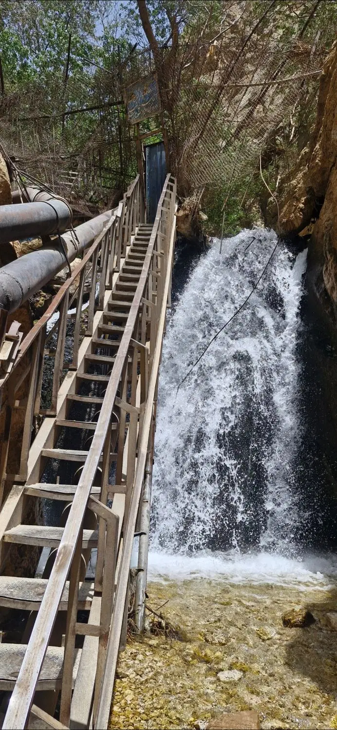 مسکونی شصت متری امام خمینی روبرو گلستان 8