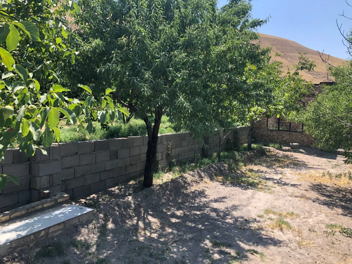 خانه باغ در ملایوسف