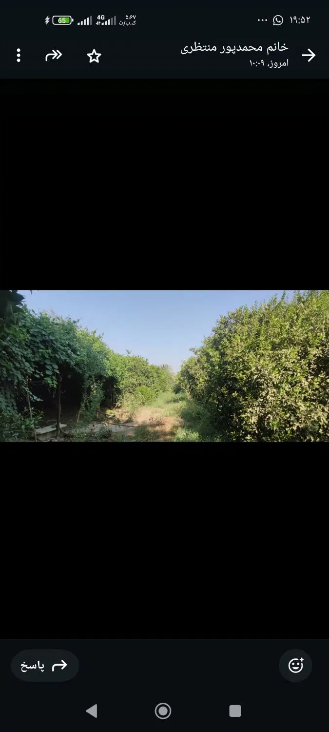 باغچه 1000متری لب جاده بنجعفر