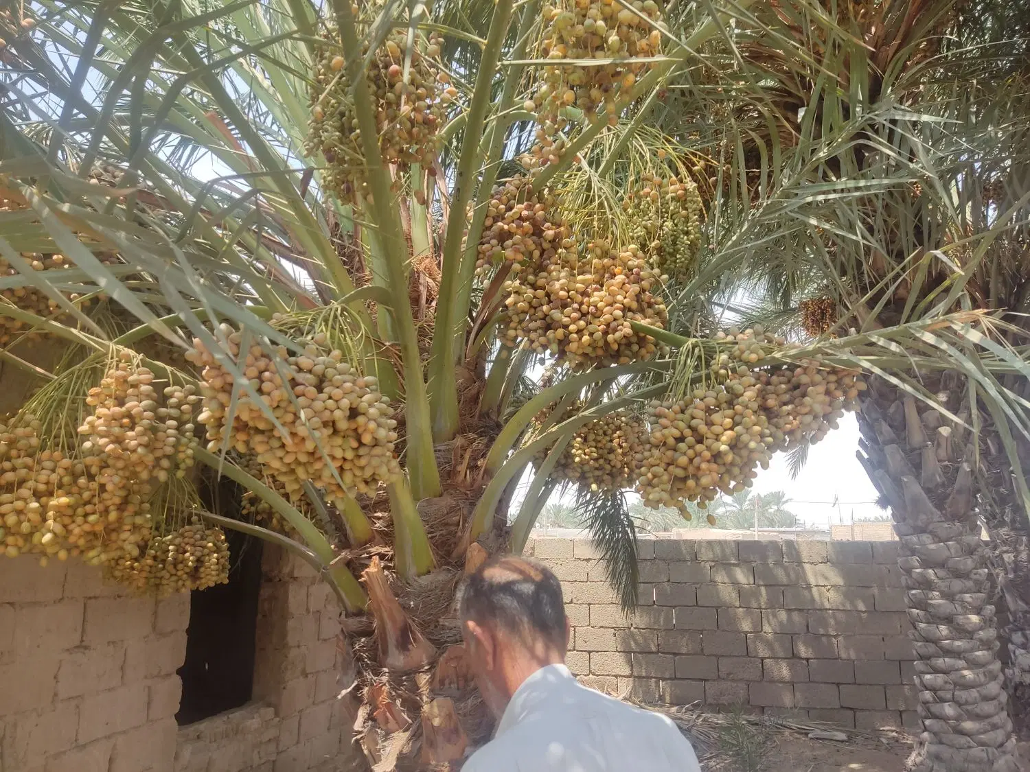 فروش منزل ویلایی220متردرام الچرد